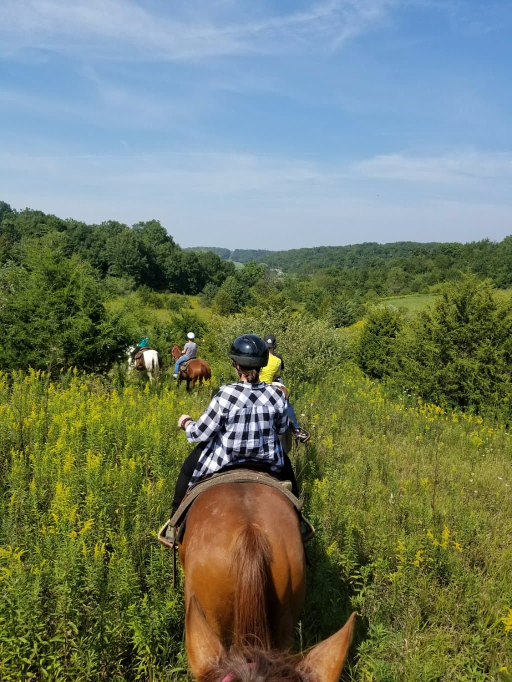 Beautiful and scenic view of Galena.