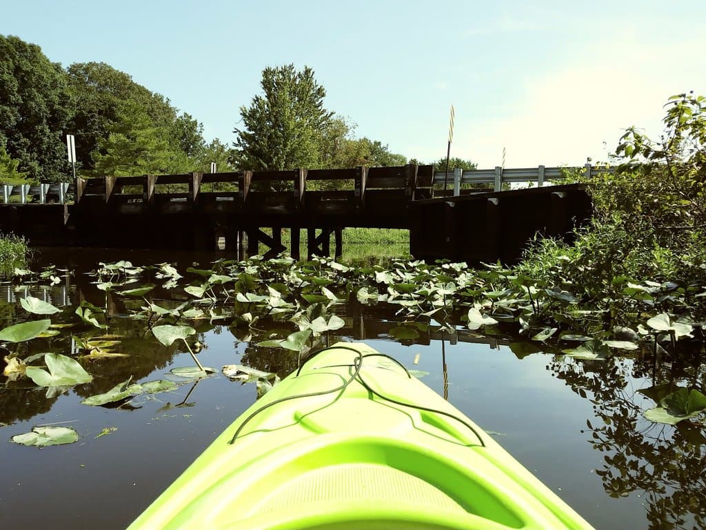 Kayaking among the lily pads in Tuckahoe State Park.