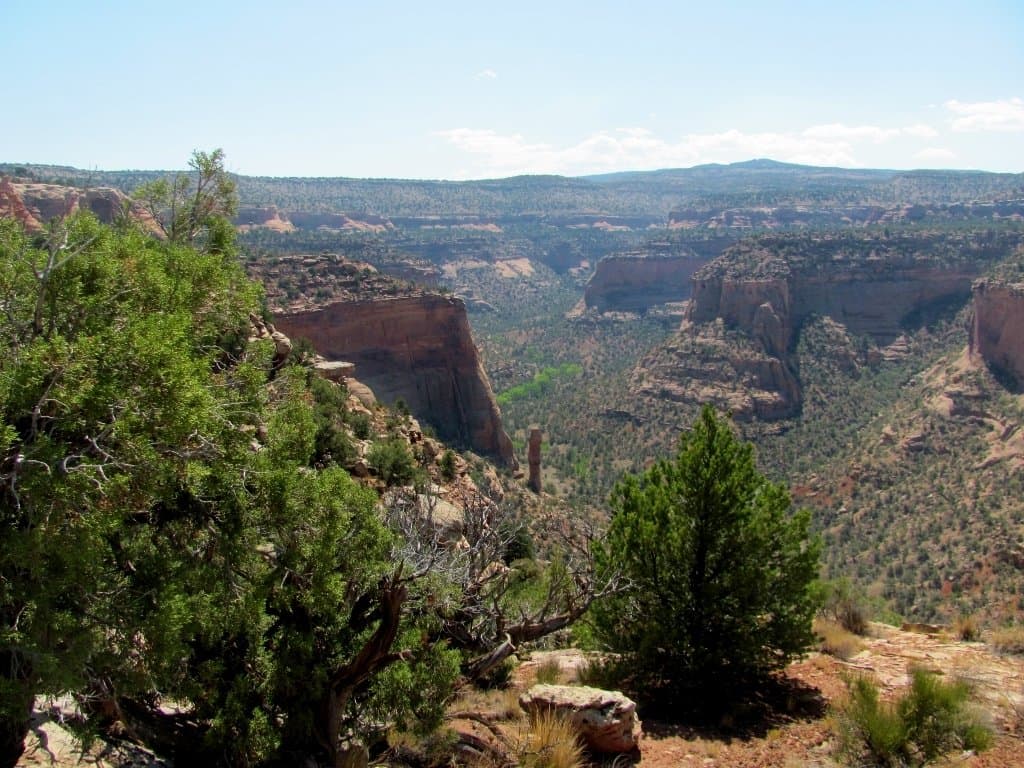 Great views into the canyon