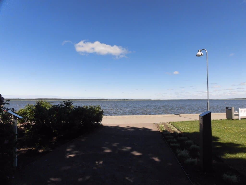 ベンチからの風景