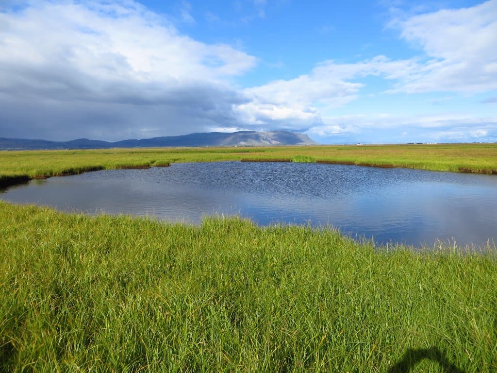 One of the ponds along the trail