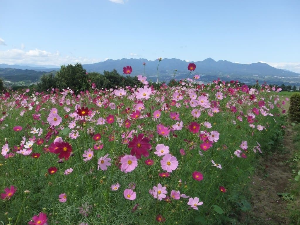Hanadaka Herb Garden