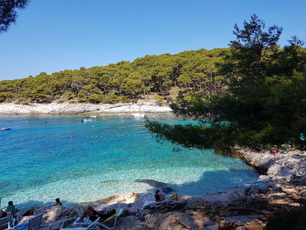 Veli Zal