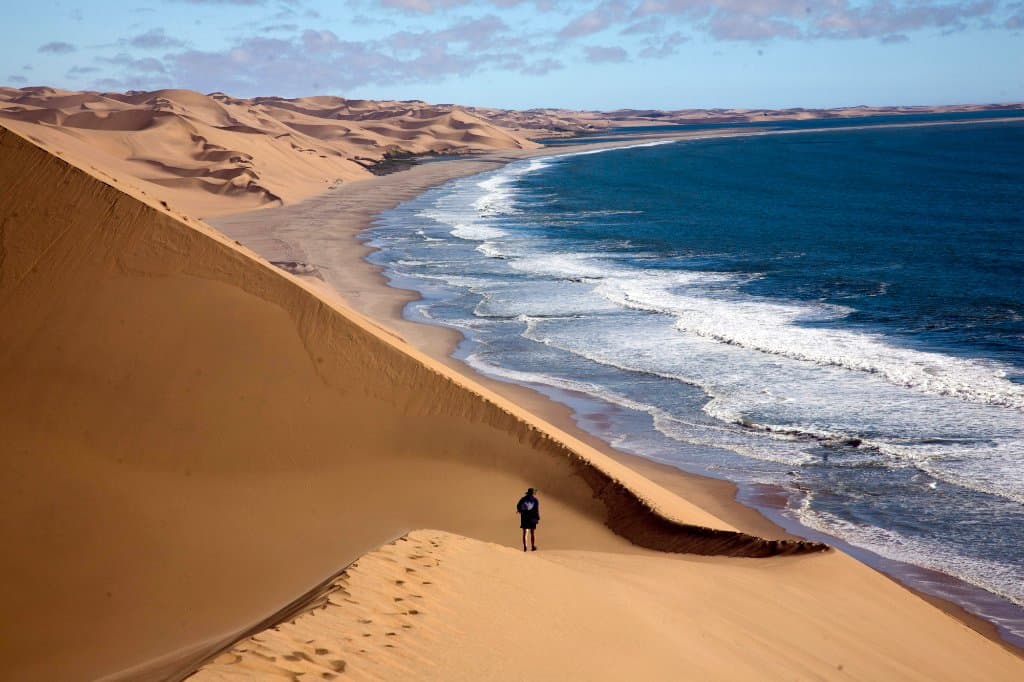 Kodiak dune