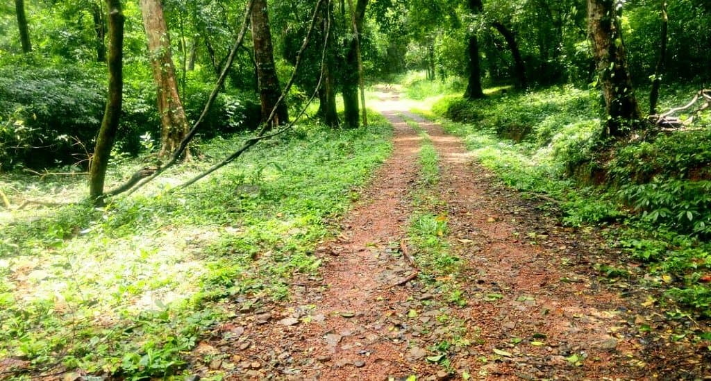 Aralam wildlife sanctuary