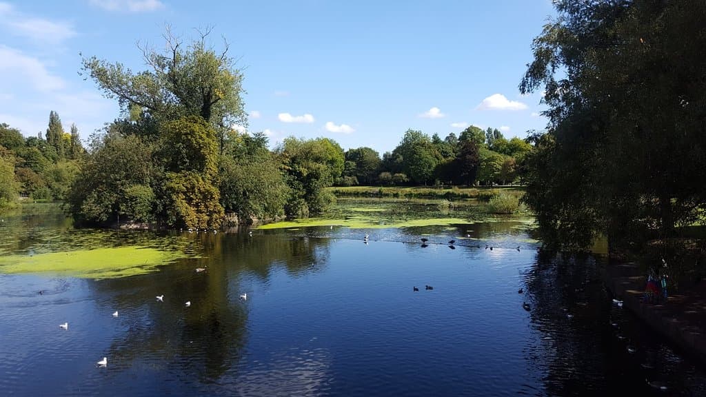 abby park lake