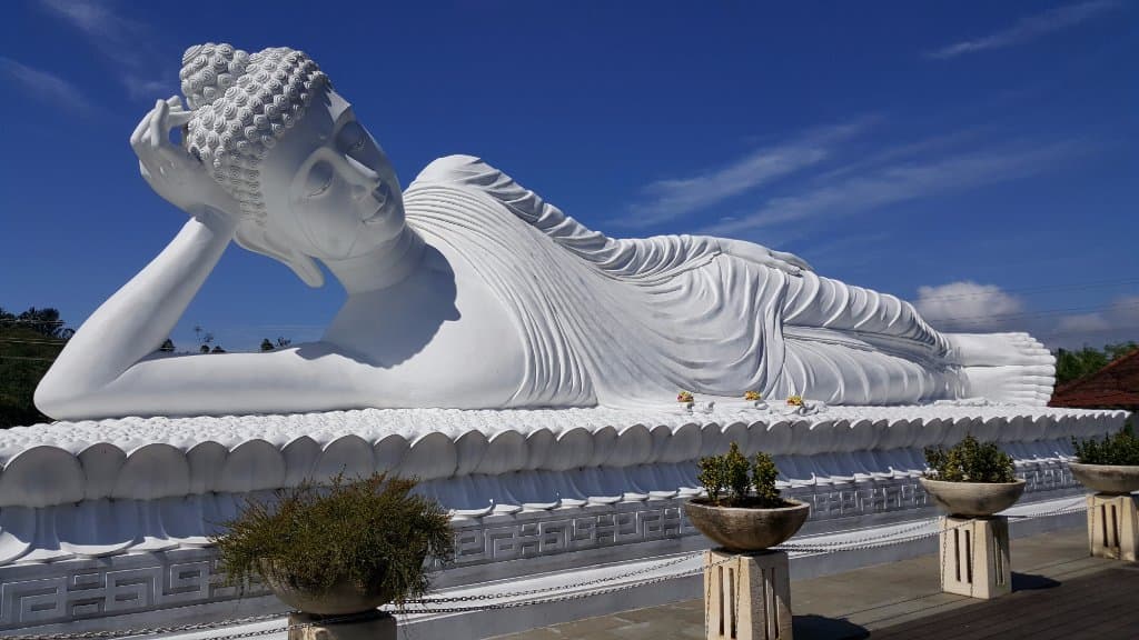 The Sleeping Buddha
