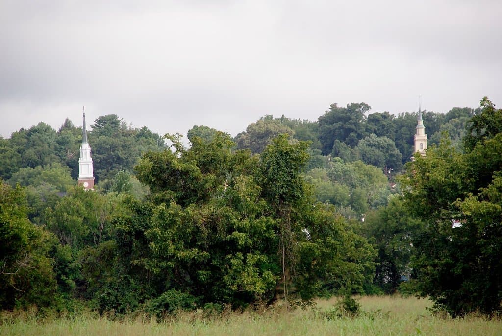Nature in the middle of town
