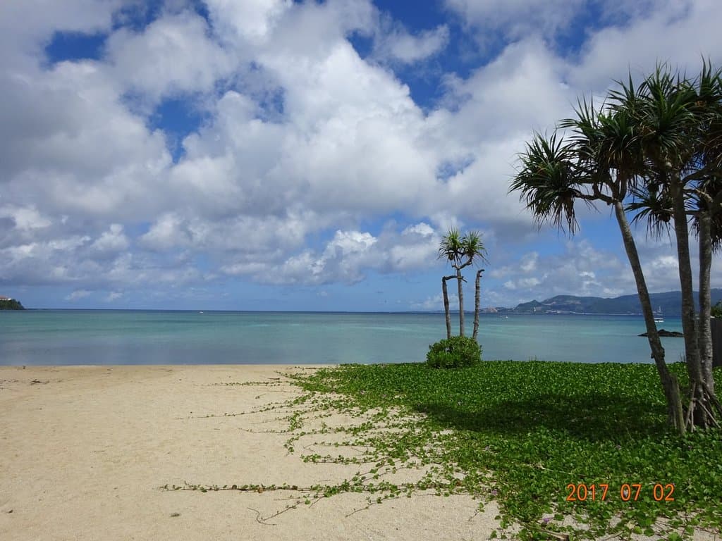 21世紀の森公園