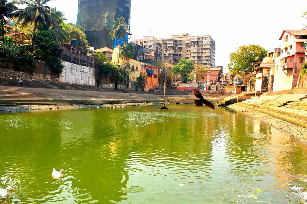 Green Water