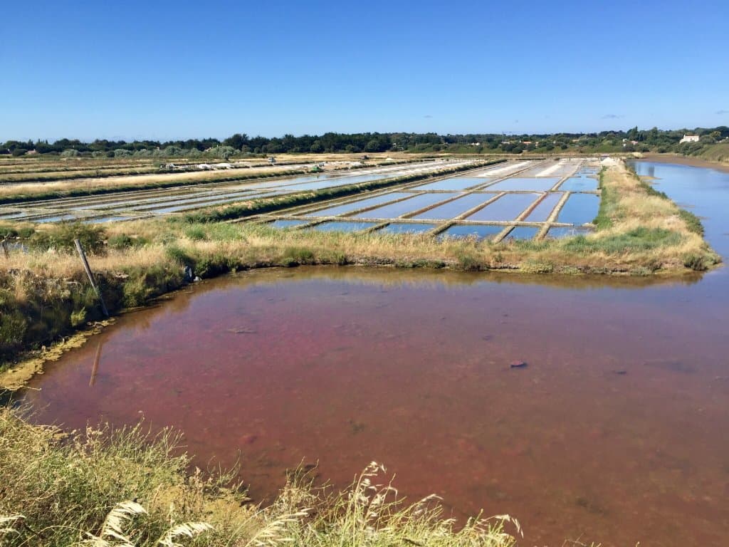 Marais du Mullembourg