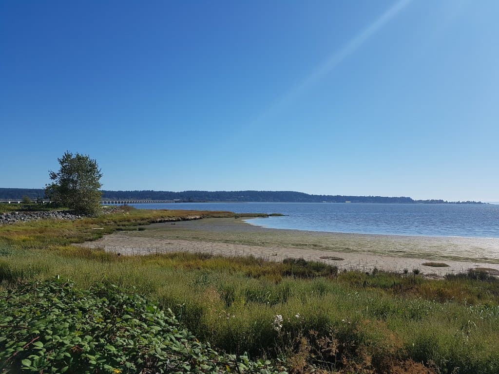 Mud Bay Park