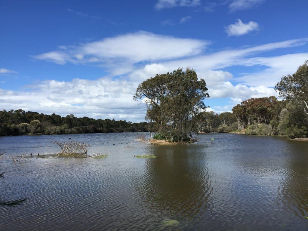 Serendip Sanctuary