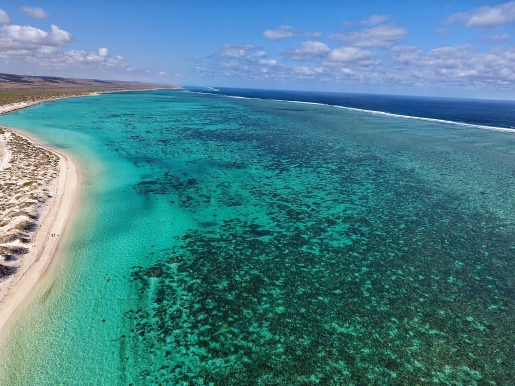 Amazing reef and colour at turquoise bay