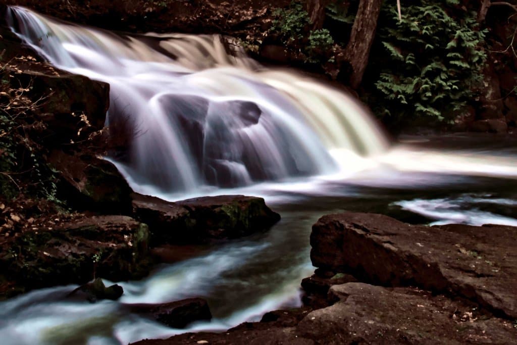 Bowen Park