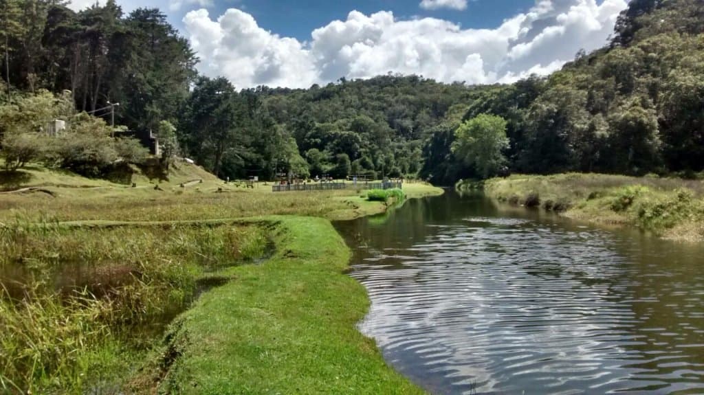 Vista del lago