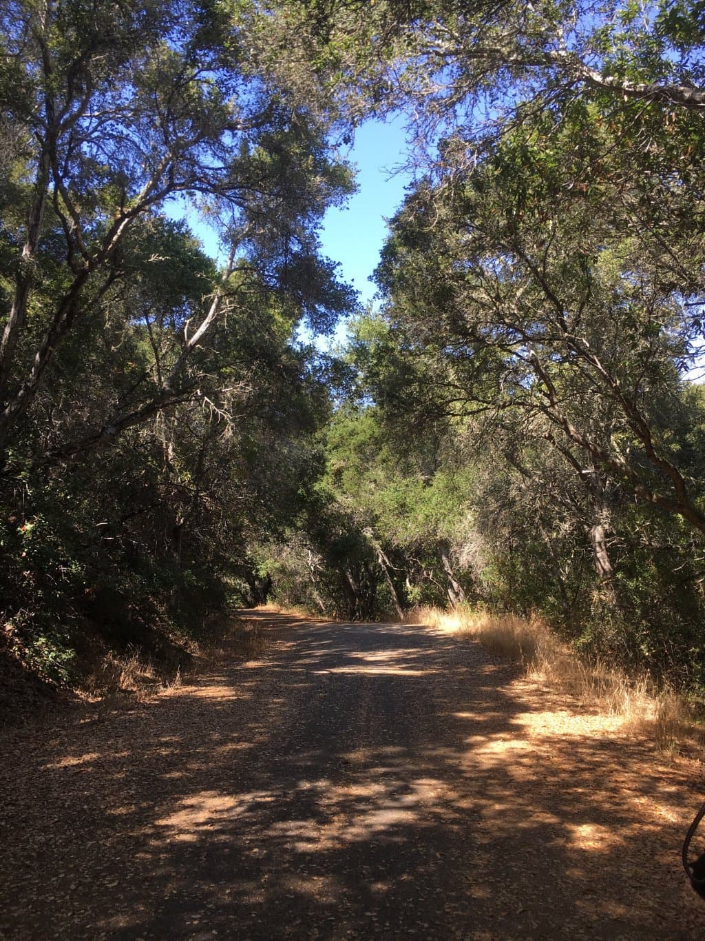Pulgas Ridge Open Space Preserve