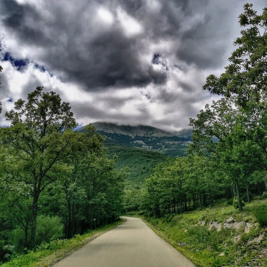 Hayedal