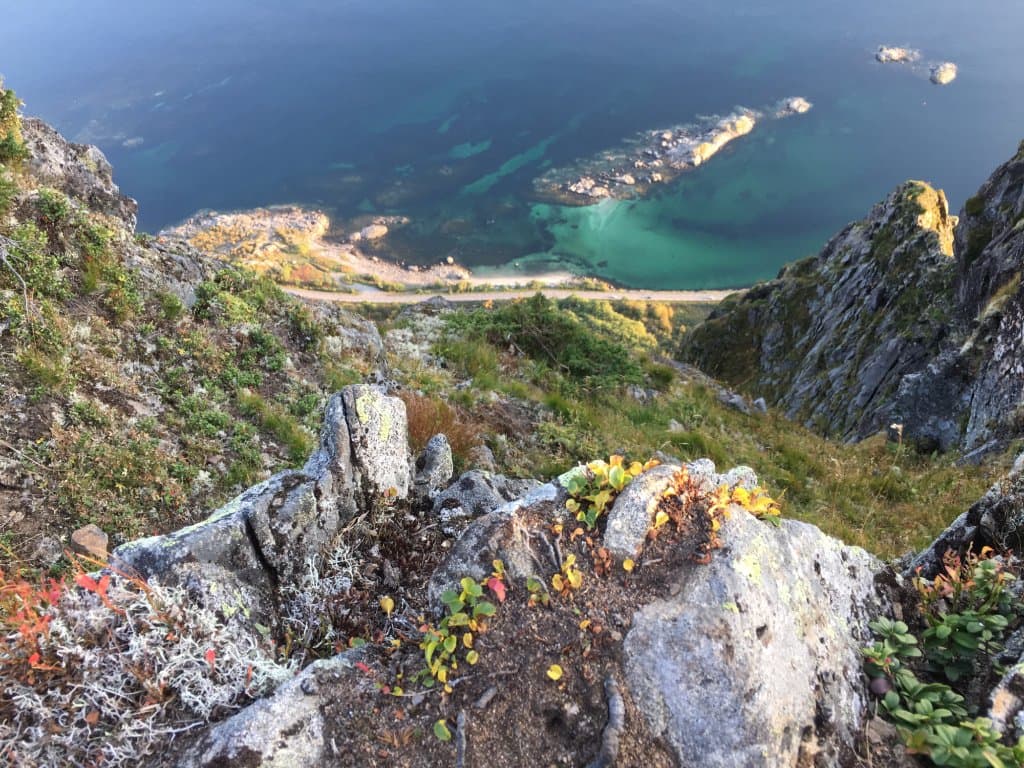 View from the top!
