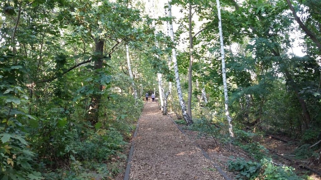 Green track