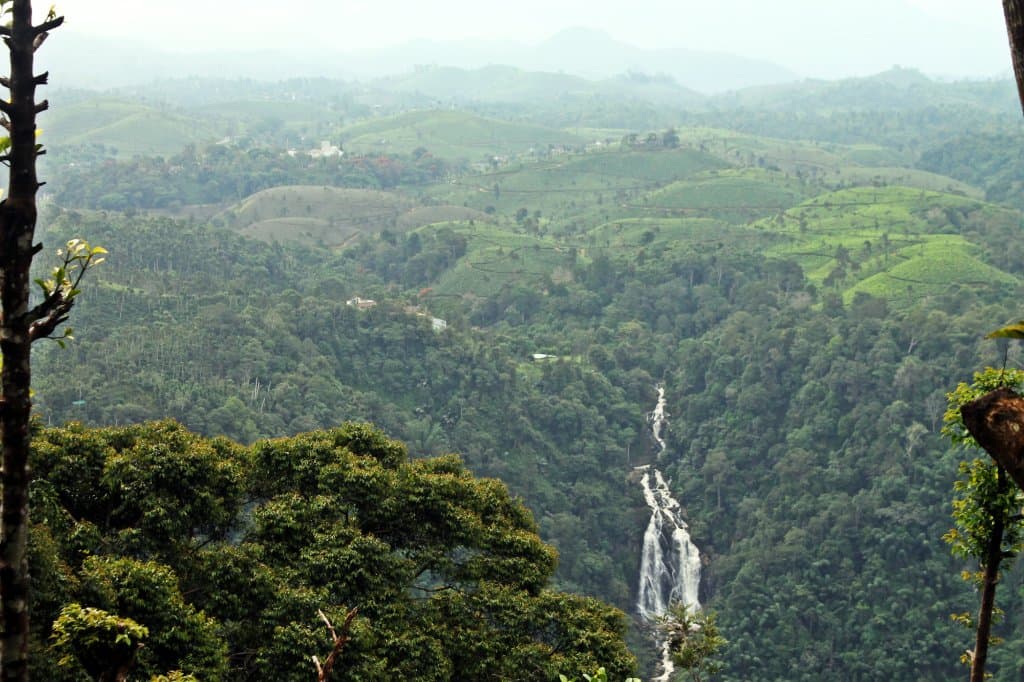 Neelimala Viewpoint