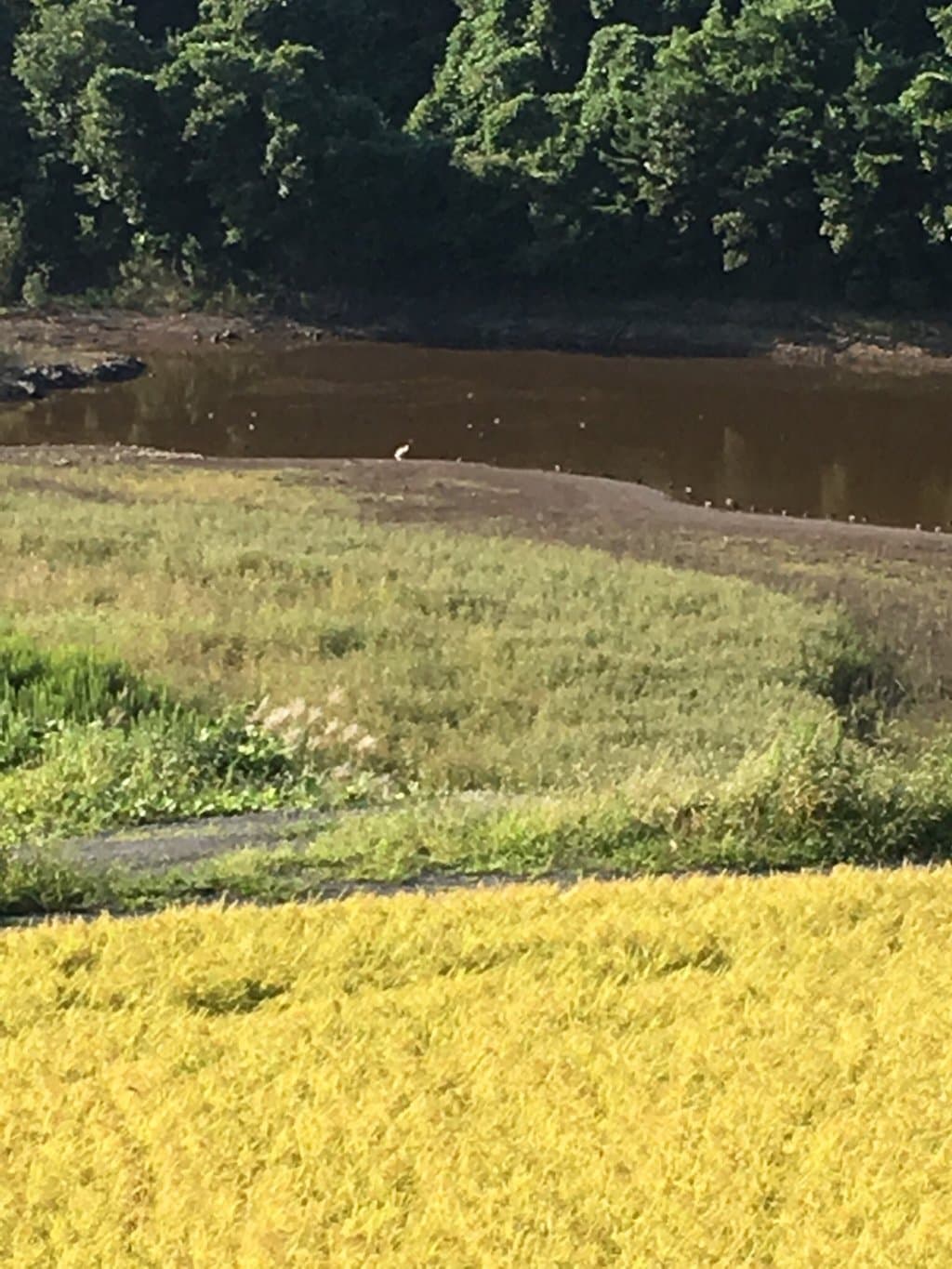 Toki Forest Park Sado Island