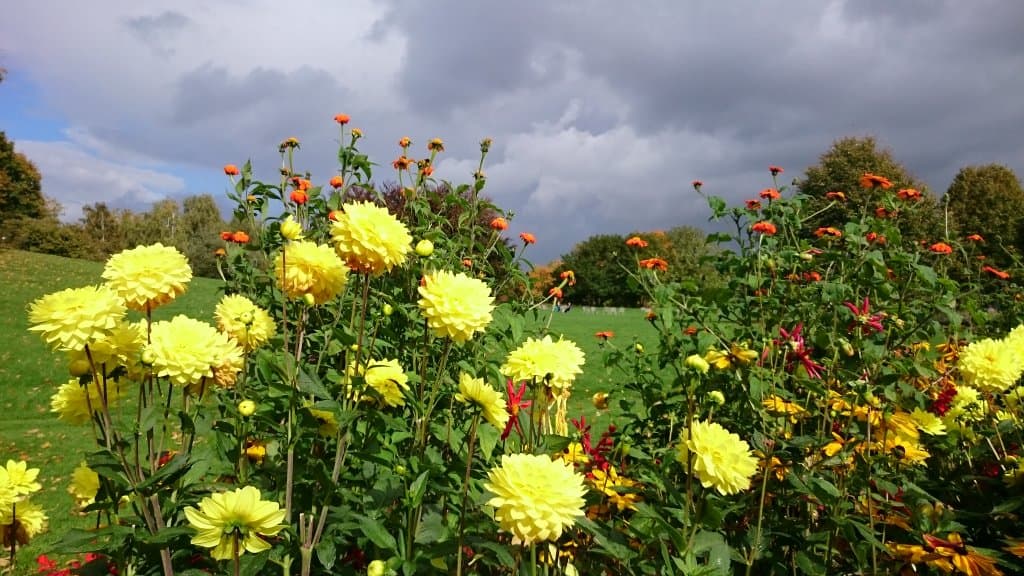 Wander through Britzer Garten