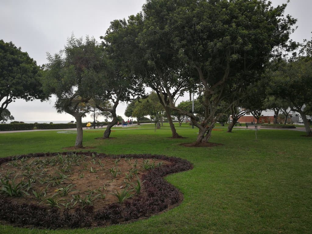 La Pera del Amor Park