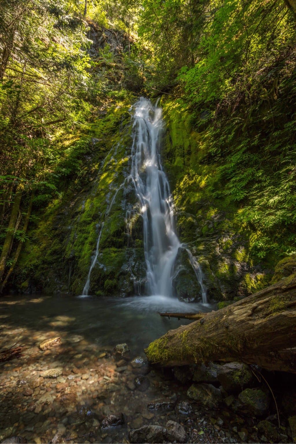 Madison Falls Olympic National Park