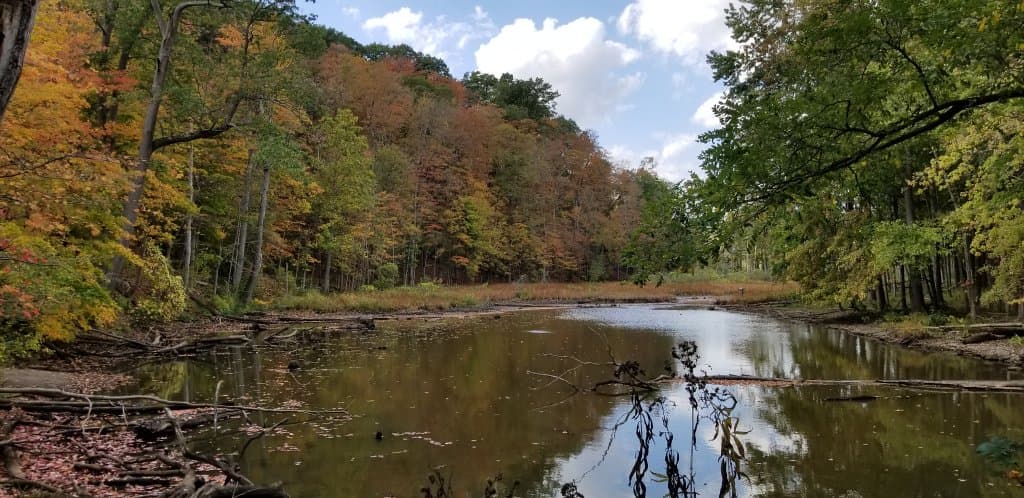 Rocky River Reservation Cleveland Ohio