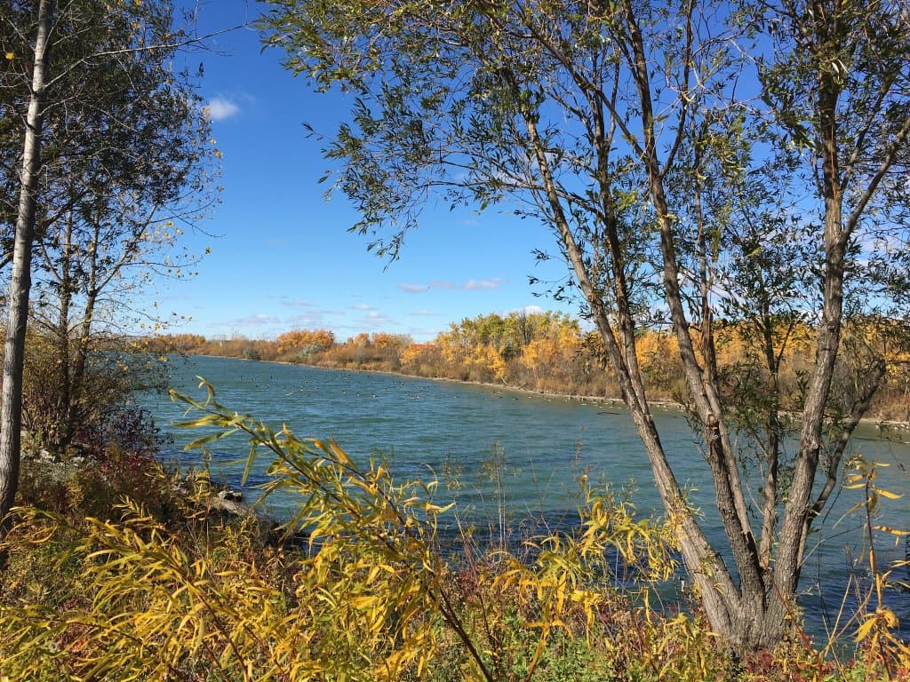 An amazing place worthy to go.