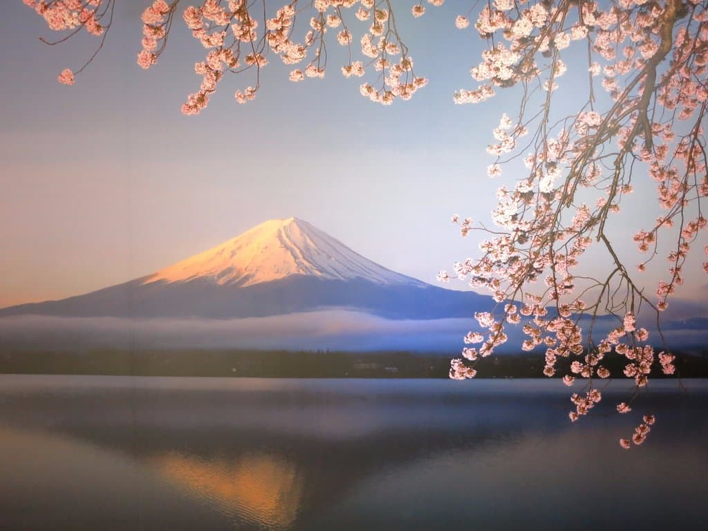 Mount Fuji World Heritage Center