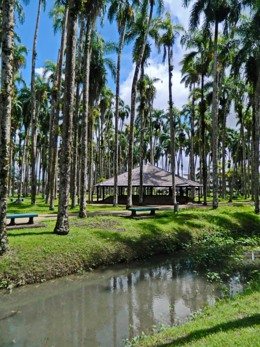 Пальмовый сад Palmentuin