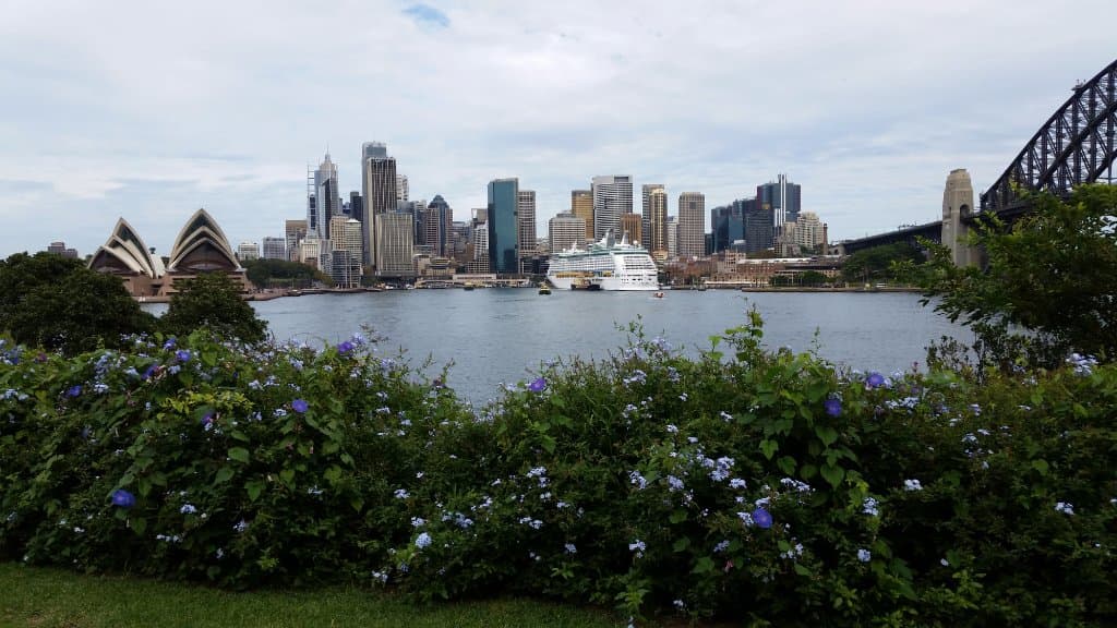 view of Sydney Harbor and Circular Quay area from Dr Mary Booth Lookout Reserve