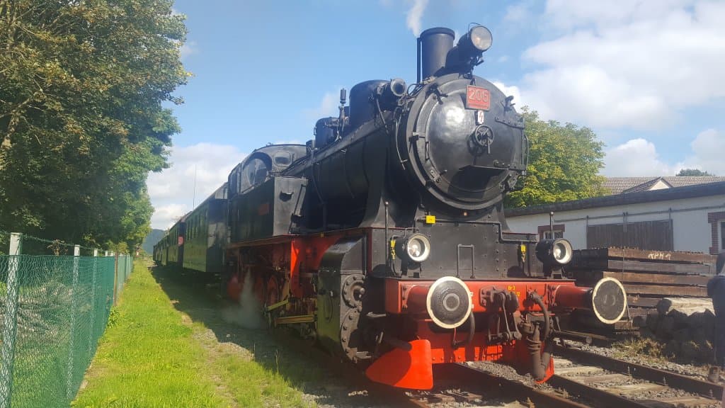 Der Hessencourrier mit der Dampflok 206 im Bahnhof Hoof