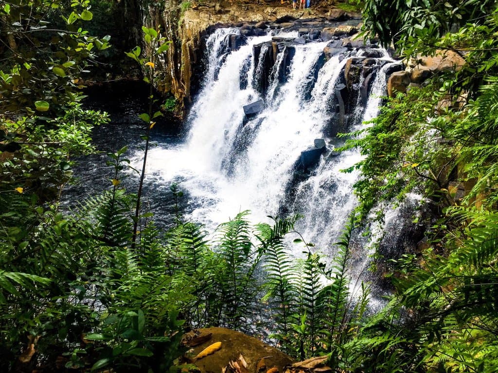 Rochester Falls