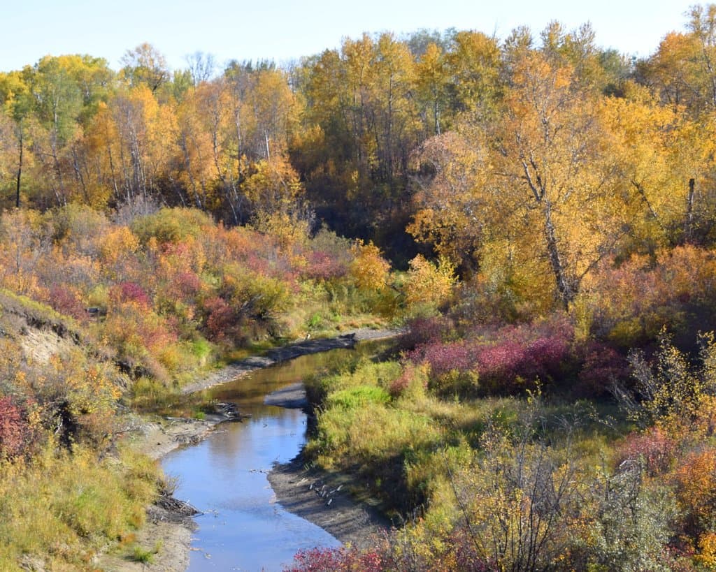 Beaver Creek