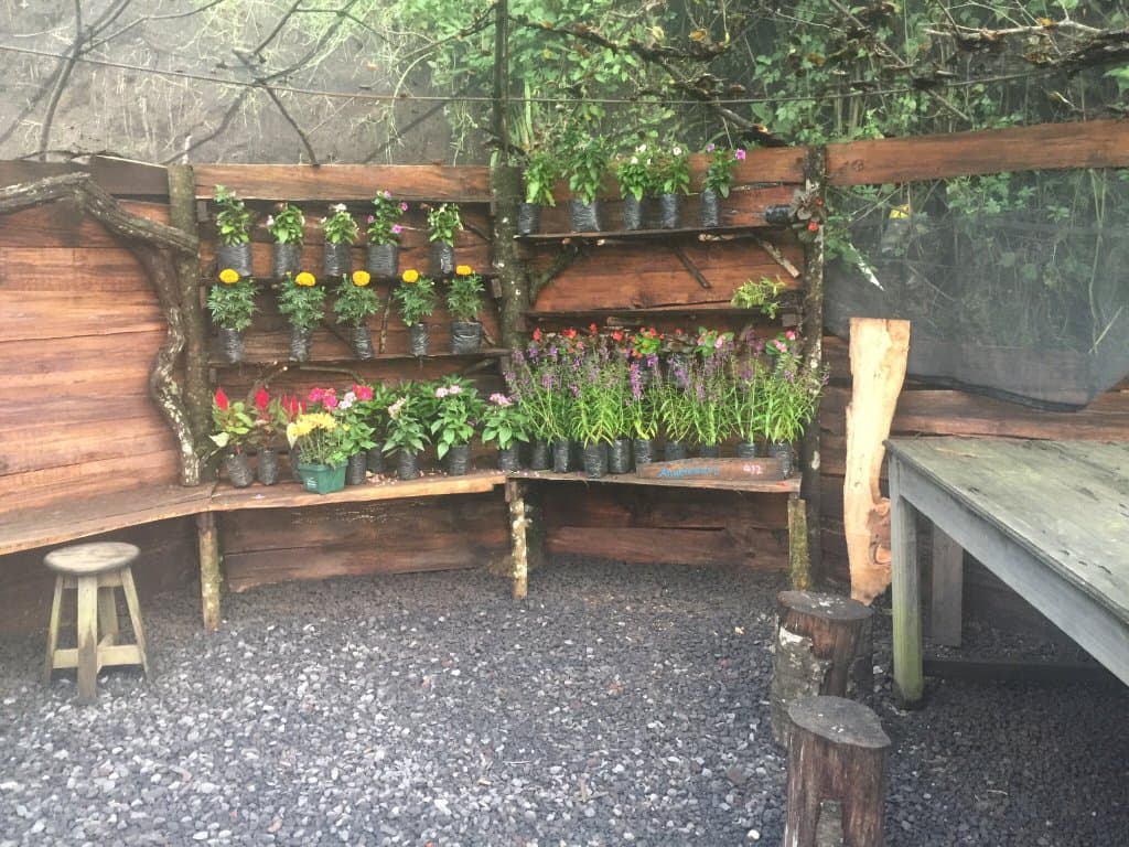 Increíble lugar e inolvidable lo amé y volvería muchas veces más !