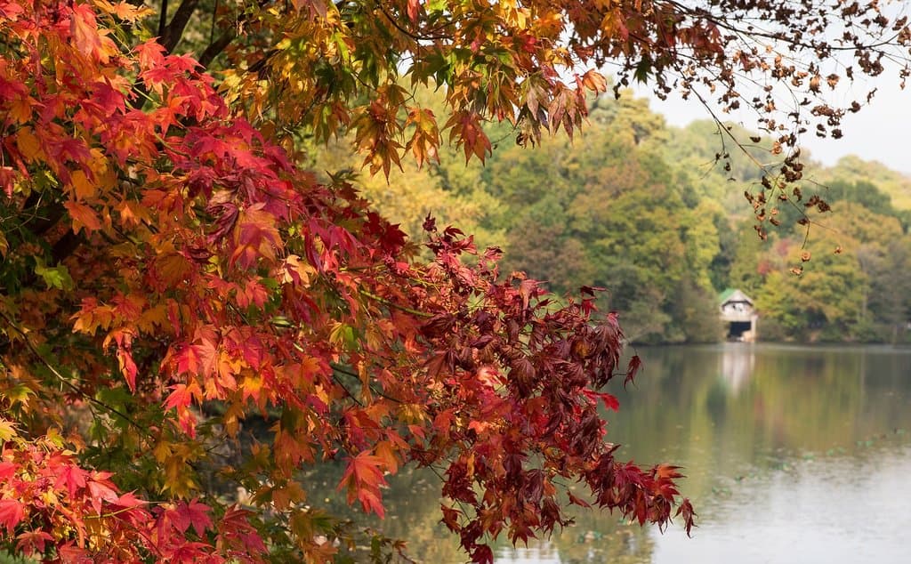 The lake and Boathouse