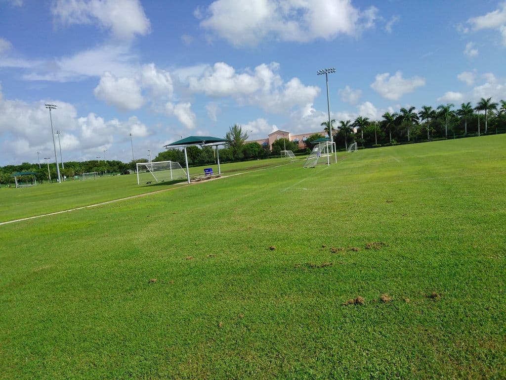 Soccer field