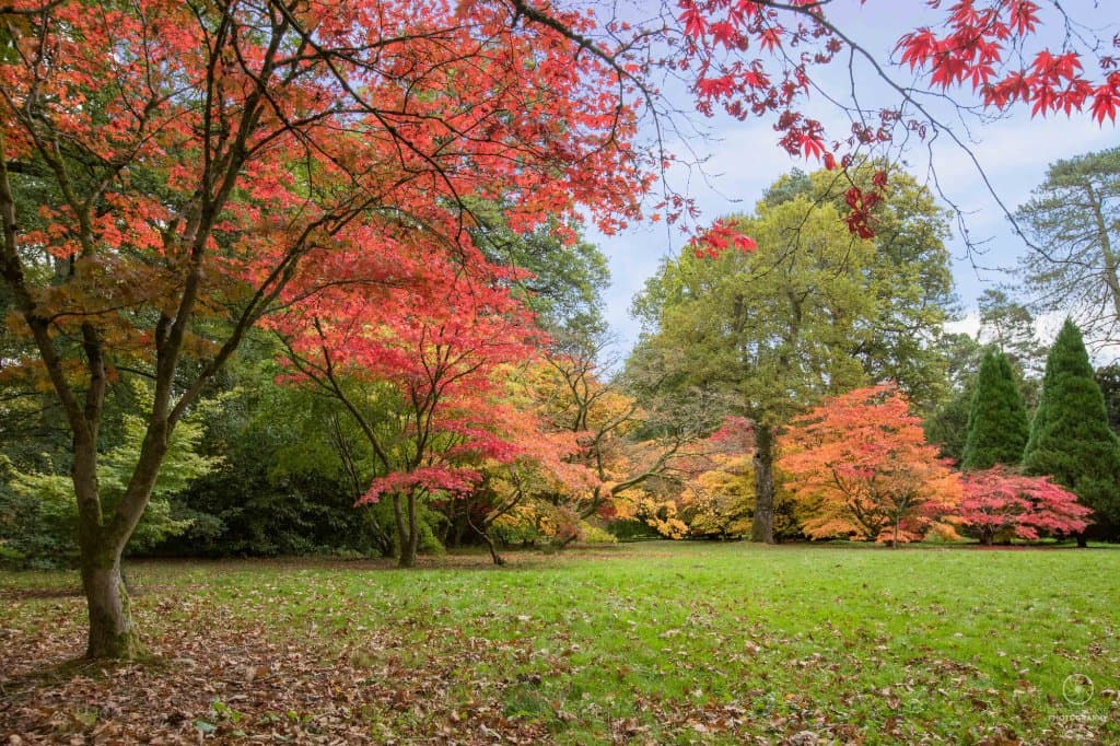 All the colours you can find in one spot