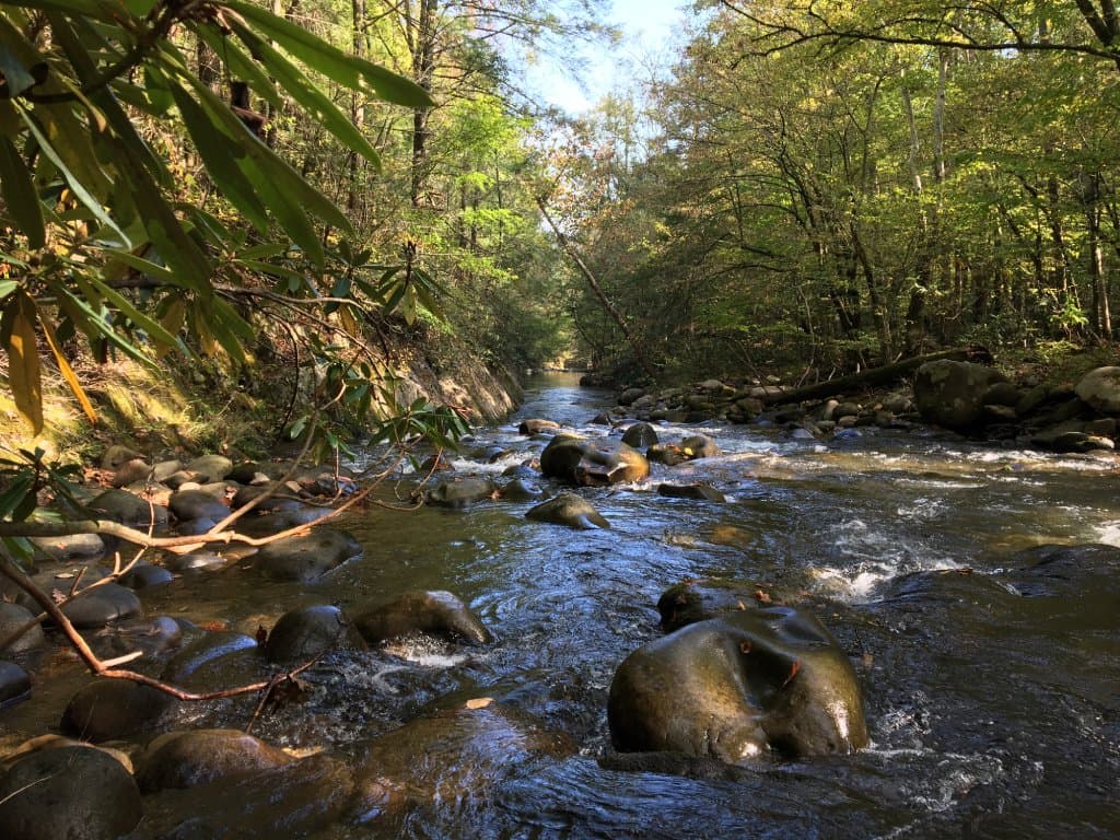 View from the creek