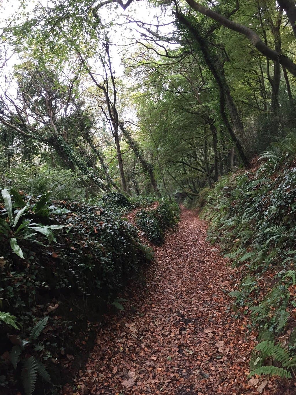 Saints' Way Cornwall