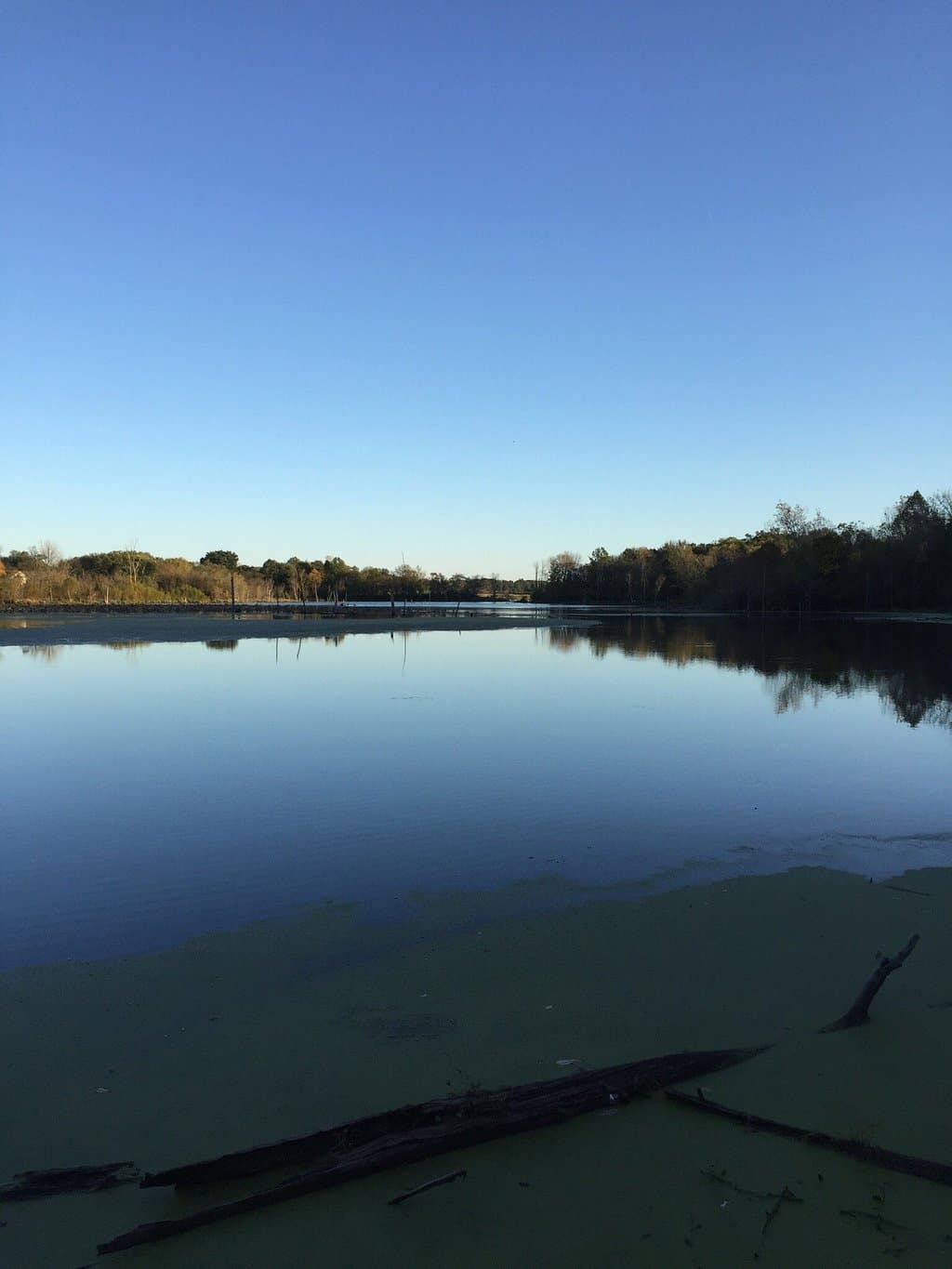 Celery Bog Nature Area