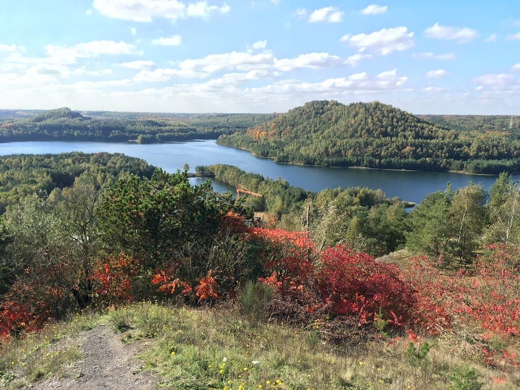 Terhills Connecterra