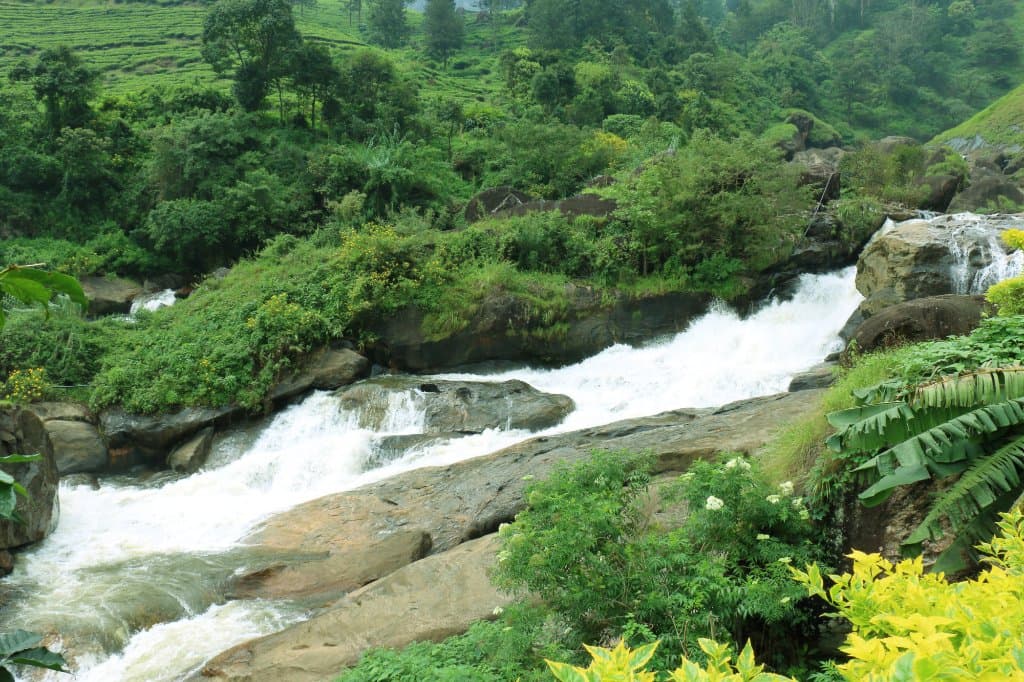 Nearby view