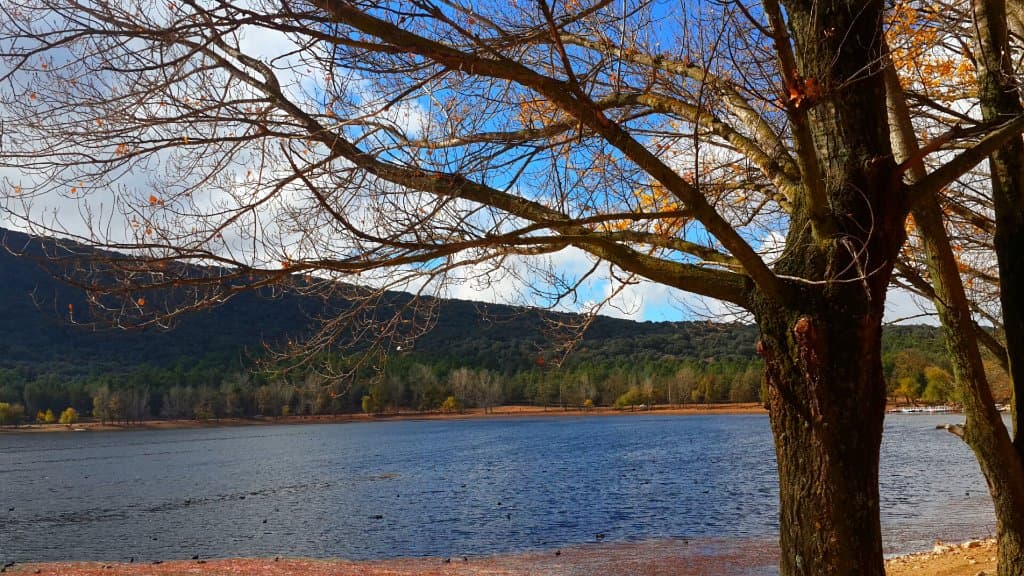 l'automne parfait à dayat Aoua
