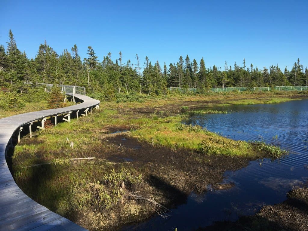 Boardwalk trail