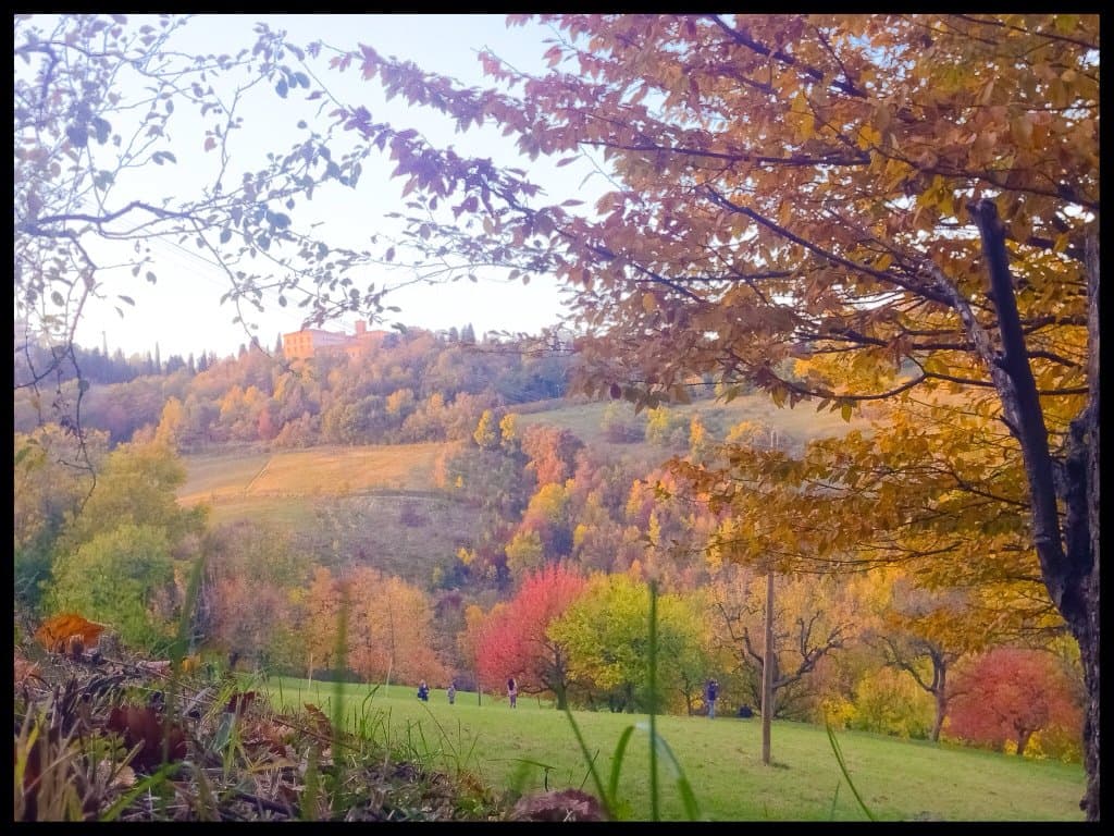 Villa Ghigi Park