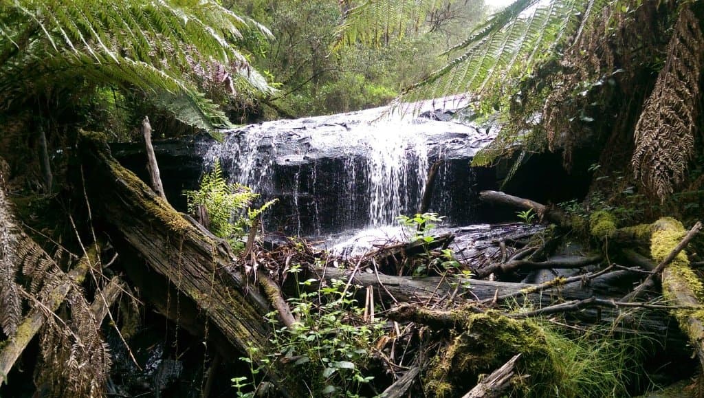 Cora Lynn Cascades